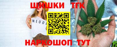 мдпв Обь