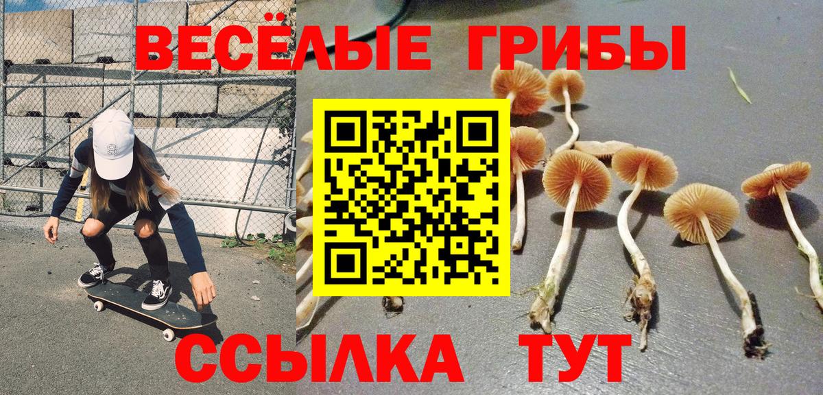Псилоцибиновые грибы Magic Shrooms  Псилоцибиновые грибы Psilocybine cubensis  Вход с VPN  Барабинск 